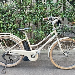 オータムSALE🉐🈹東京23区配達無料🌈新基準 ブリヂストン HYDEE