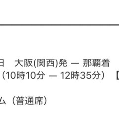 2024年11月24日　大阪(関西)発 ― 那覇着 ピーチ 