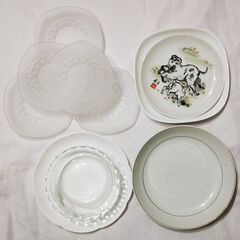 お皿10枚セット