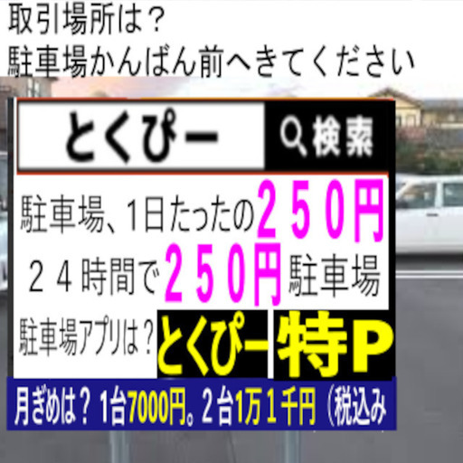 超大型フェイザーペダル!! Musitronics Mu-Tron Bi-Phase 動作品 超大型フェイザーペダル!! Musitronics Mu-Tron Bi-Phase 動作品