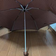 折り畳み傘の画像