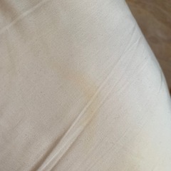 【値下げ】【トコちゃんベルトの青葉】ベビハグ授乳クッションの画像