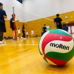 11月24日(日)18時〜　バレーメンバー募集