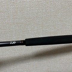 ダイワ メタリアヒラメ MH-245の画像