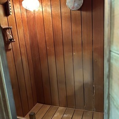 サウナ　家庭用サウナ　一人用の画像