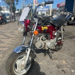 ダックス 激レア！
