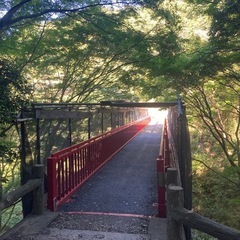 【11月23日開催！】秋の生駒山をサクッと登山