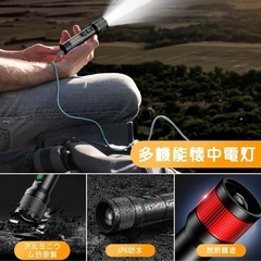 【新品】懐中電灯 夜光 ライトの画像