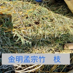 300円　竹ぼうき用の枝・金明孟宗竹の枝　天然記念物入手困難❗️