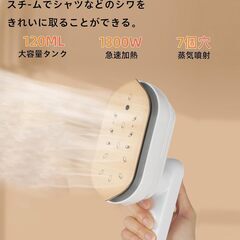 【新品】アイロン スチームアイロン 小型 軽量 ドライアイロン 20秒立ち上がりの画像
