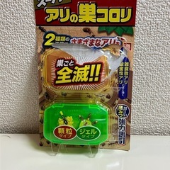 クロオオアリ（新女王） | ANT STREET MARKET / アリ販売店