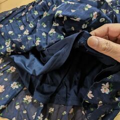 スカートとキュロットの画像