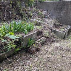 土です。