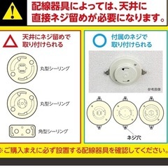 サーキュライトの画像