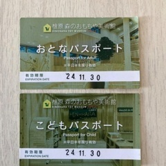 【値下げ中】檜原森のおもちゃ美術館　年パス　大人用+子供用　※1...