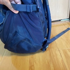 Patagonia リュックの画像
