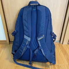 Patagonia リュックの画像