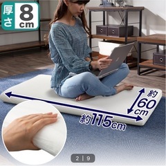 ニトリ フロアクッション 2個セット