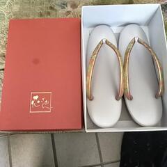 草履