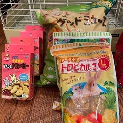 うさぎ飼育セットお譲りします(室内用)