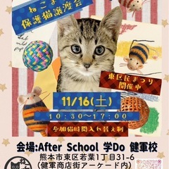 🐈‍⬛ねこまる🐈‍⬛保護猫譲渡会🐈🐾のご案内💕