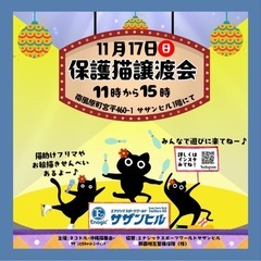 ネコドル
