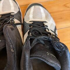 asics25㌢の画像