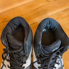 asics25㌢の画像