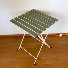 【取引中】IKEA（イケア） TÄRNÖ（テルノー）屋外用 ガー...