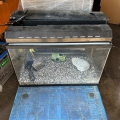 無料 
水槽