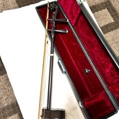二胡弦　未使用品✨龍頭✨の画像
