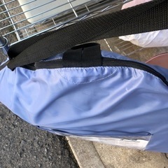 NO：2045 値下げ超お買い得品❣️野外用テンド‼️   サイズ：250x150x 145cmの画像