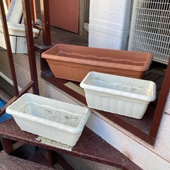 プランター色々の画像