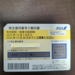 ANA株主優待（2024年11月末まで）