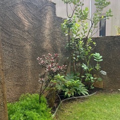 植栽メンテナンス − 埼玉県