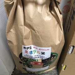 お米 5kg