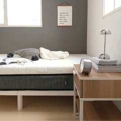 ecosaマットレス　シングルの画像