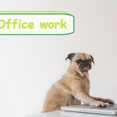 バックオフィスのエキスパートへ！バックオフィス事務 【業務委託】...