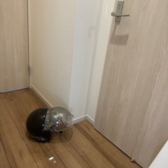 レディースジェットヘルメットの画像