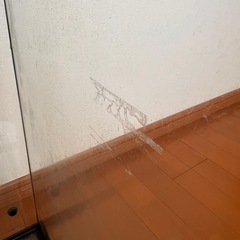 【0円】爬虫類ケージ45×45×60の画像