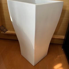 観葉植物　鉢　巨大の画像