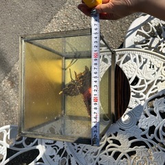 五円玉　宝船　ガラスケース付き　インテリア　オブジェ　アンティーク　縁起物　　玄関　オブジェ　置物　船の画像