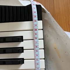 11月末掲載終了/カシオ　CASIO キーボード の画像