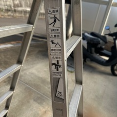 きゃたつの画像