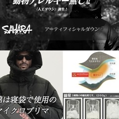 フィールドサハラ　ダウンジャケットLサイズの画像