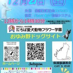 保護猫譲渡会Cat'seye　