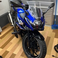 GSX250R  エンジンガード　