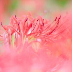 🌼１１月末まで大募集🌼　　１日でもOK❗❗短期バイトOK❗❗この...