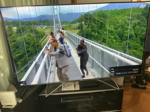 ハイセンス2020年度販売の75U8F