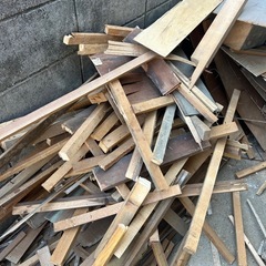 
焚き火用の木 の画像